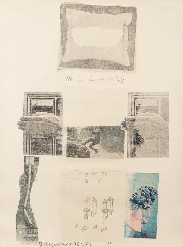 Two Reasons Birds Sing by Robert Rauschenberg
