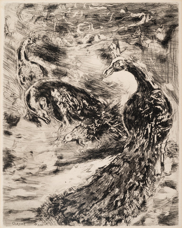 The Feather of the Peacock from Fables de la Fontaine, volume I by Marc Chagall