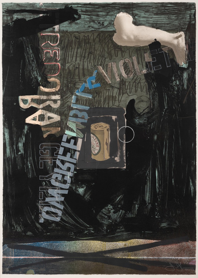 Decoy II by Jasper Johns