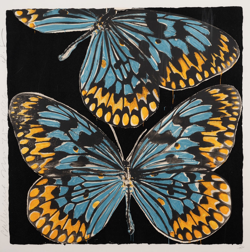 Butterflies by Donald Sultan