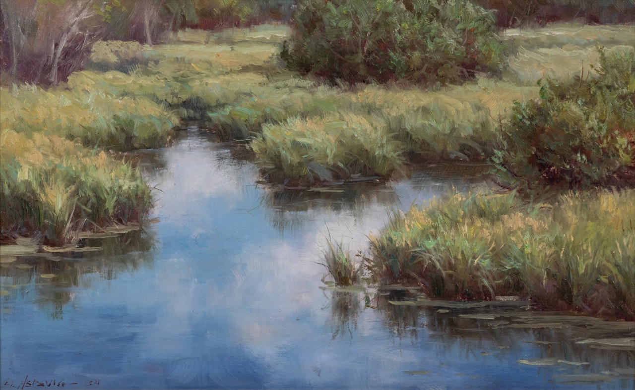 The Pond by Clyde Aspevig