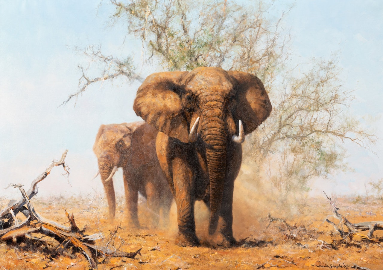 Two Elephants by David Shepherd