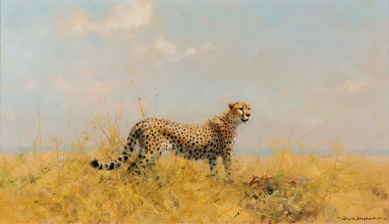 A Cheetah with Kill by David Shepherd
