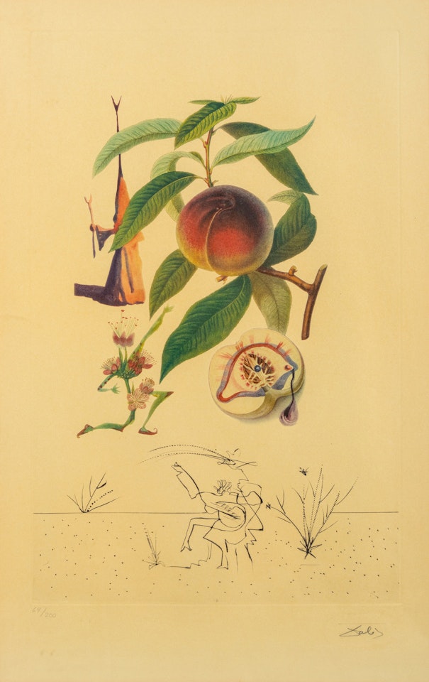 Penitent Peach Tree (Pêcher Pénitent), from Flordali (Les Fruits) by Salvador Dali