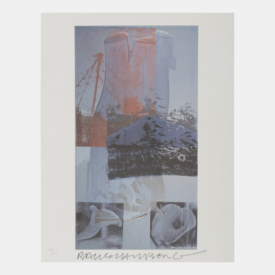 Tanya"s Veil (Whale) by Robert Rauschenberg