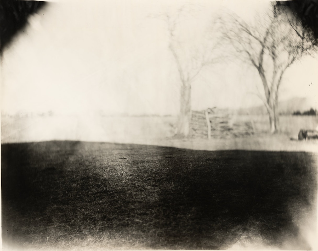Georgia Untitled (Dodd"s Farm), from the series Georgia by Sally Mann