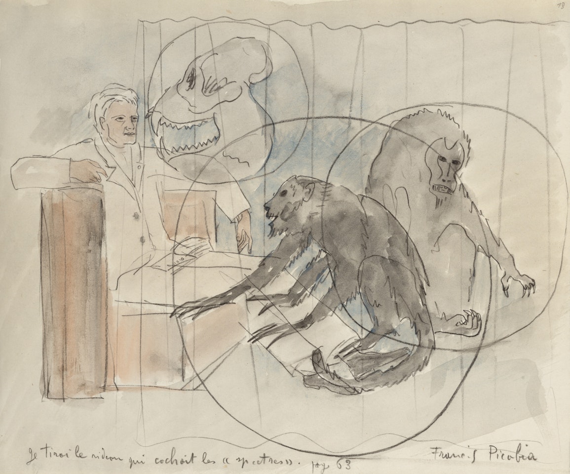 Je tirai le rideau qui cachait les "spectres" by Francis Picabia