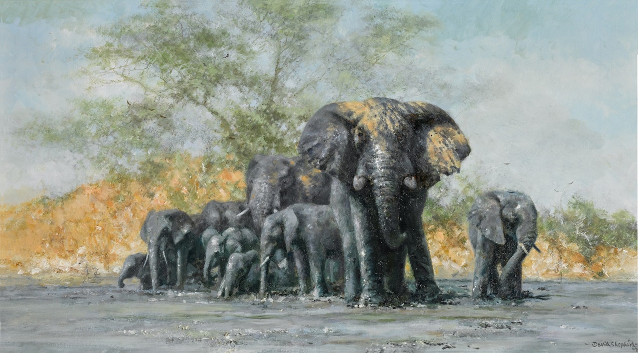 Waterhole in Botswana by David Shepherd