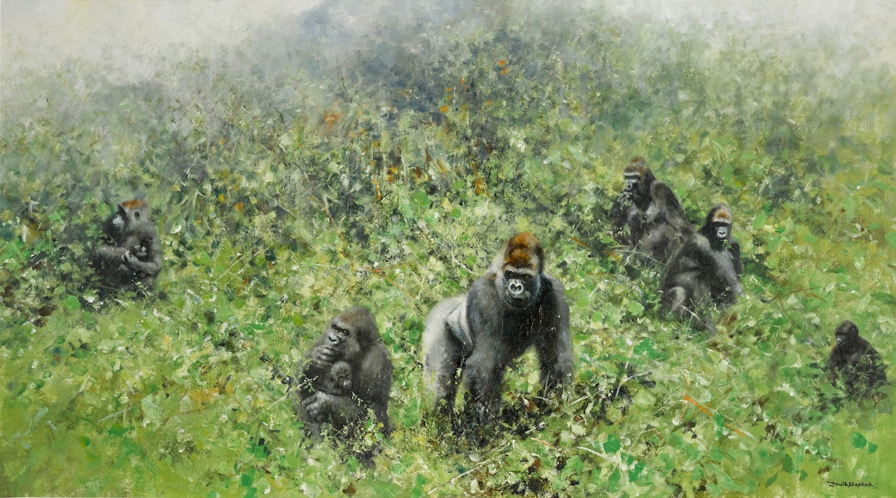 Gorillas by David Shepherd