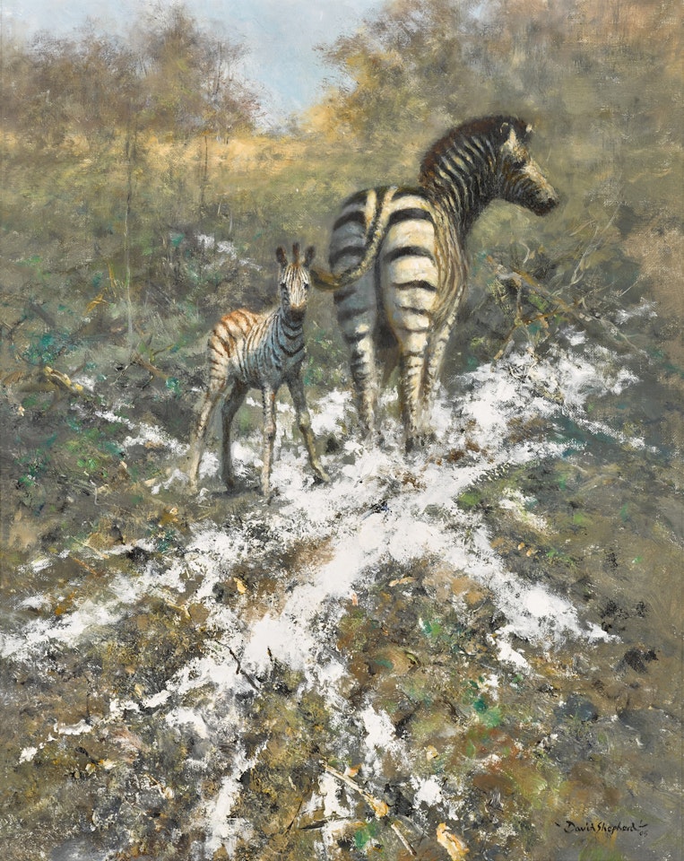 After the Burning by David Shepherd