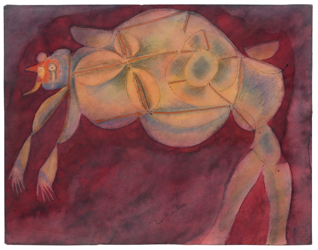 Fantastic Creature by Francisco Toledo