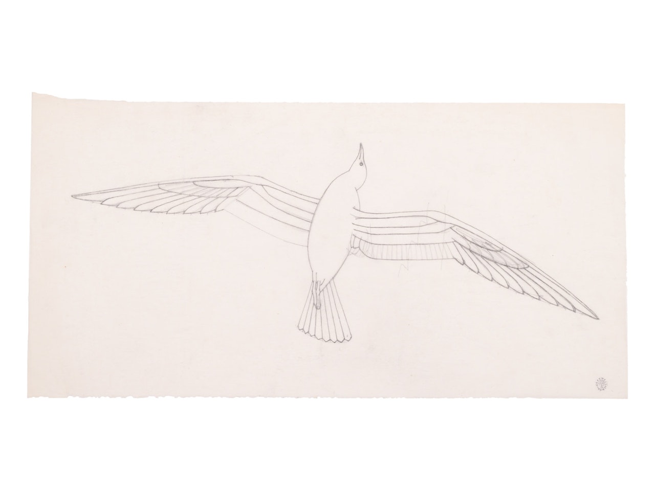 Study for Seagull by Rockwell Kent