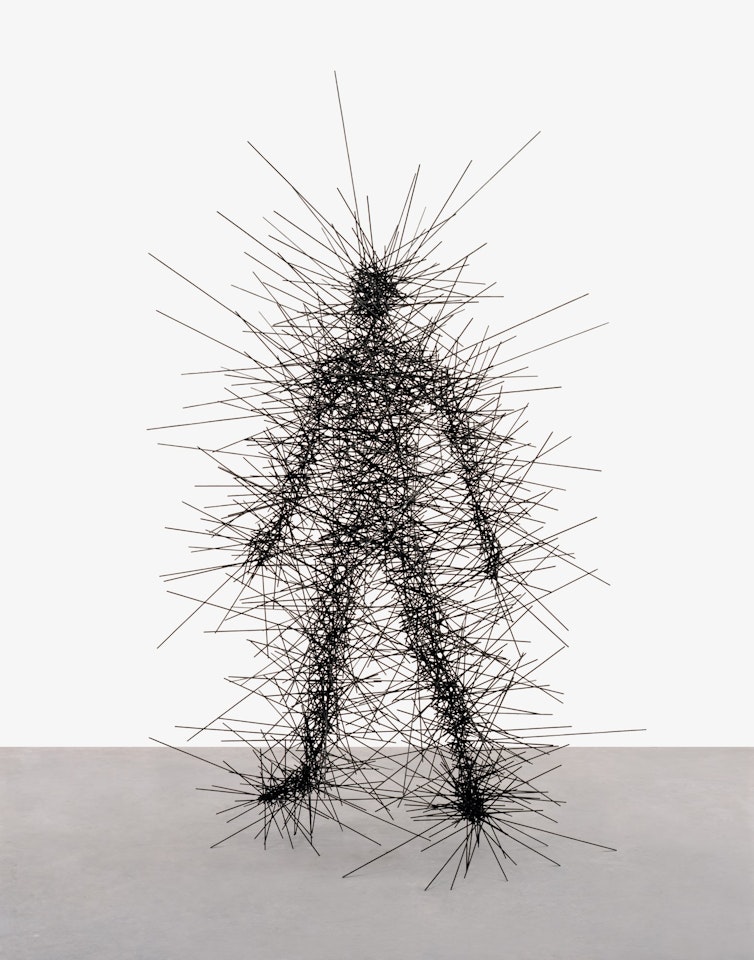 Trajectory Field I by Antony Gormley