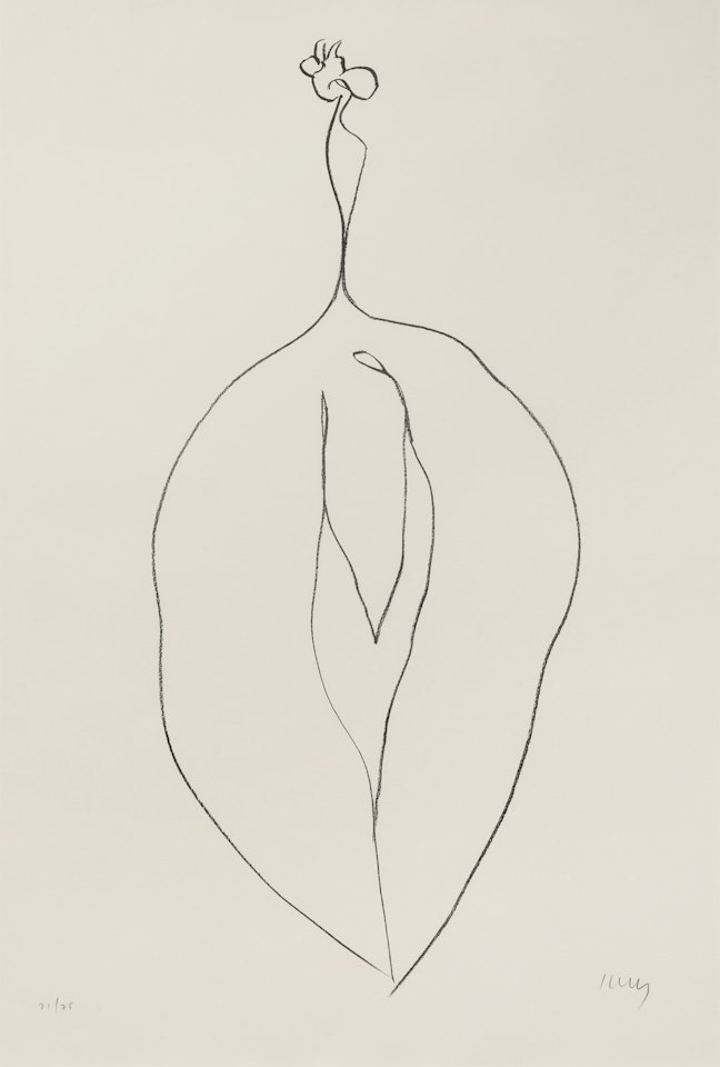 Seaweed (Algue) from Suite of Plant Lithographs by Ellsworth Kelly
