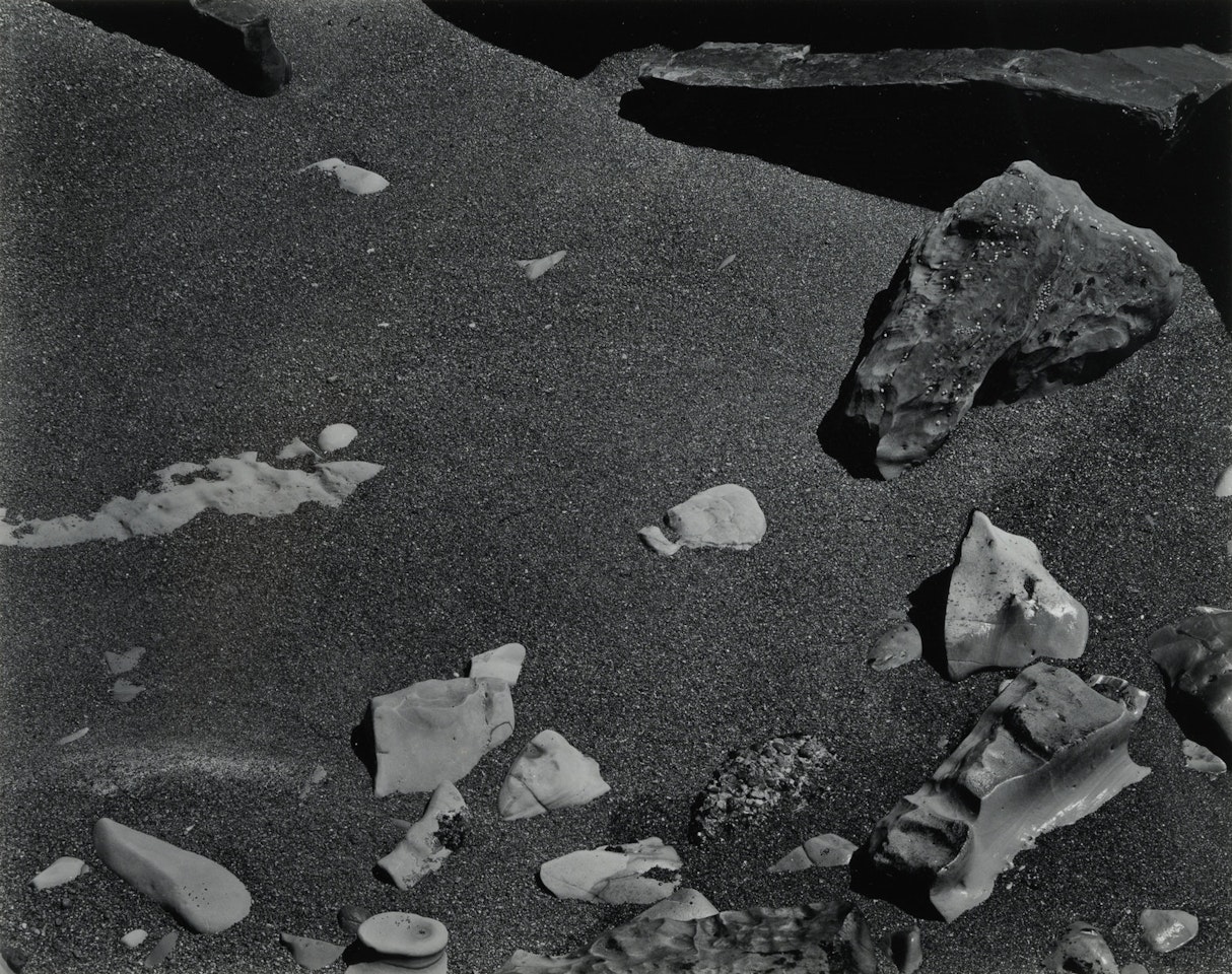 Point Lobos by Edward Weston