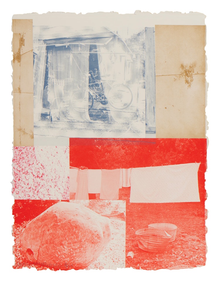 Rose Bay, from Rookery Mounds by Robert Rauschenberg