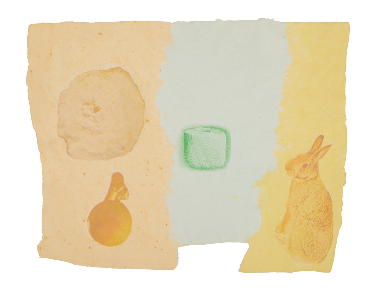 Roan, from Pages and Fuses by Robert Rauschenberg