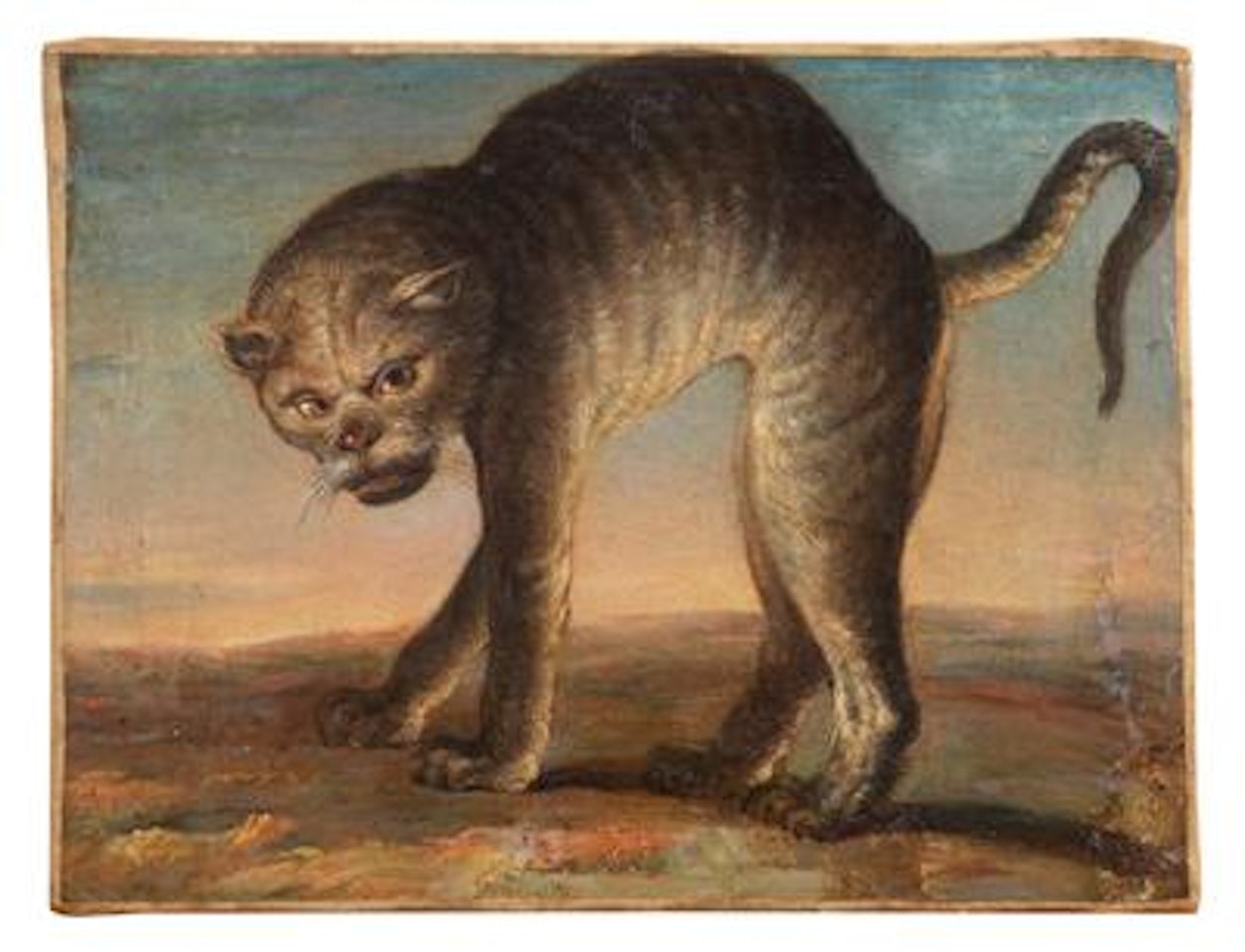 A wild cat by Flemish School