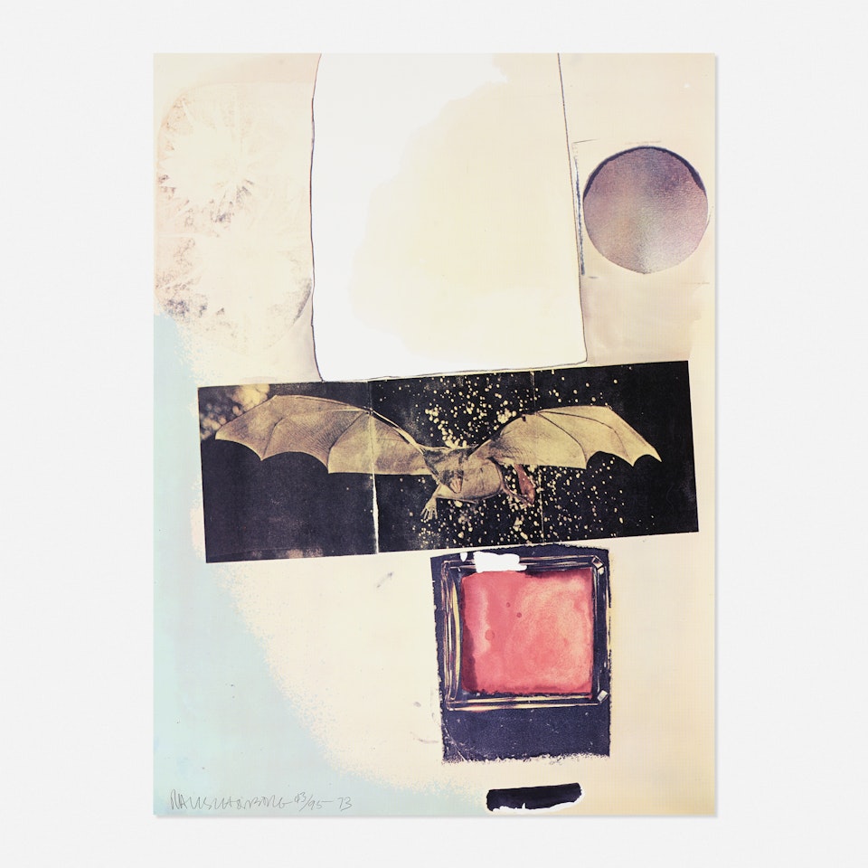 Rays by Robert Rauschenberg