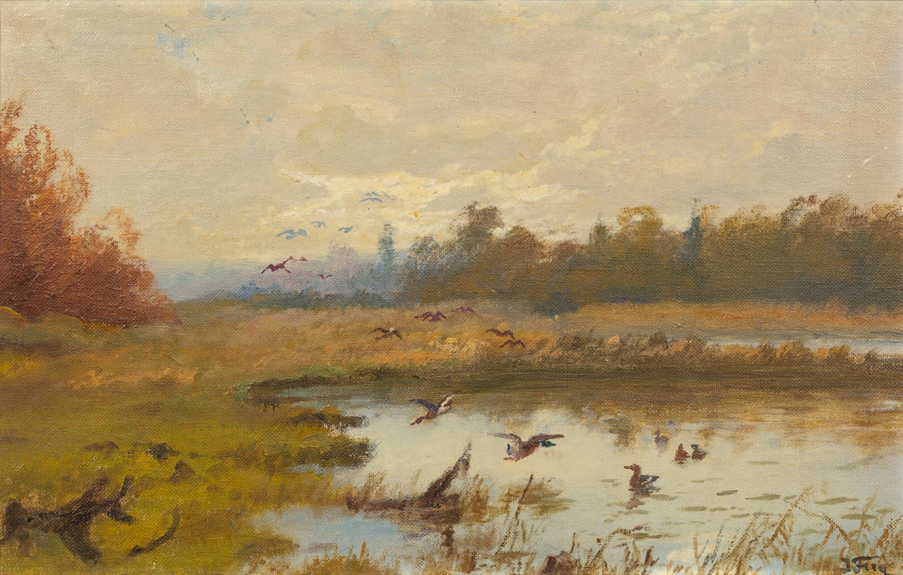 Swamp in Wisconsin with Ducks by John Fery