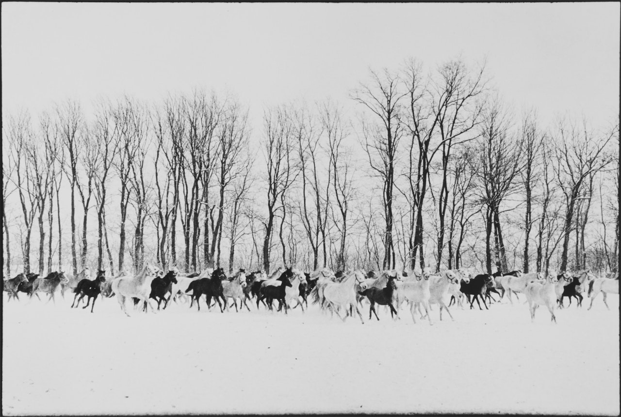 Győr, Hungary by Henri Cartier-Bresson