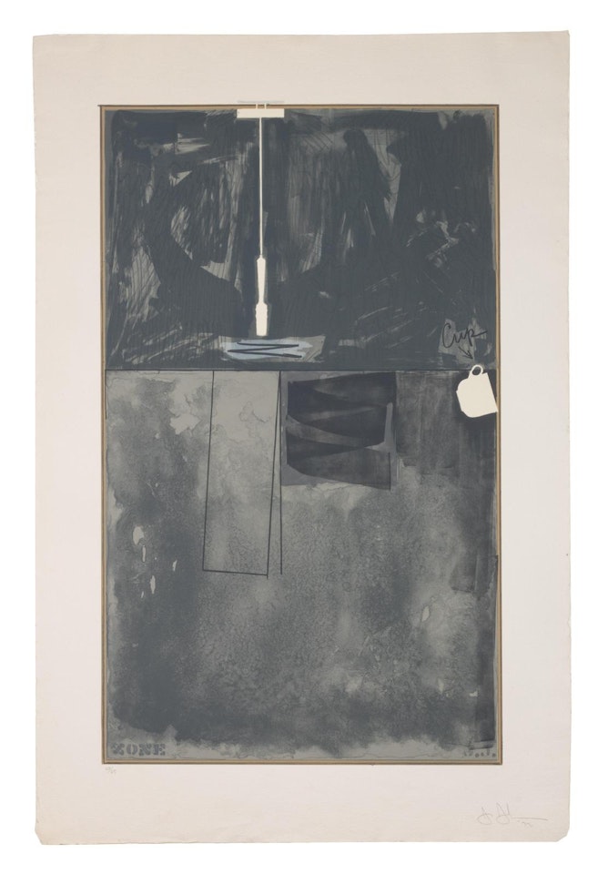 Zone by Jasper Johns