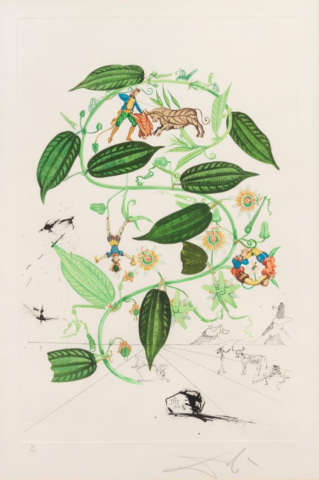 Passiflora laurigera (from Flora dalinae) by Salvador Dali