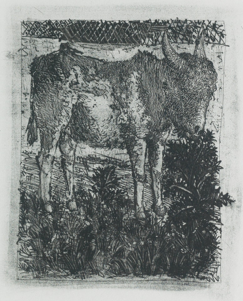 L'Âne; Le Lézard from Histoire Naturelle (Eaux-fortes originales pour des textes de buffon) 2 by Pablo Picasso