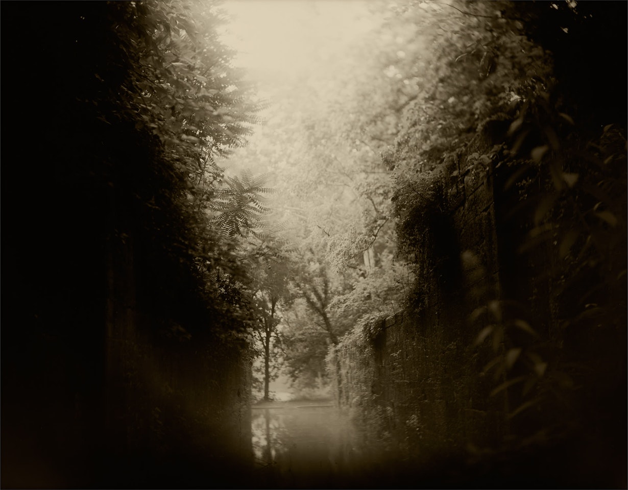 Untitled (Virginia) by Sally Mann