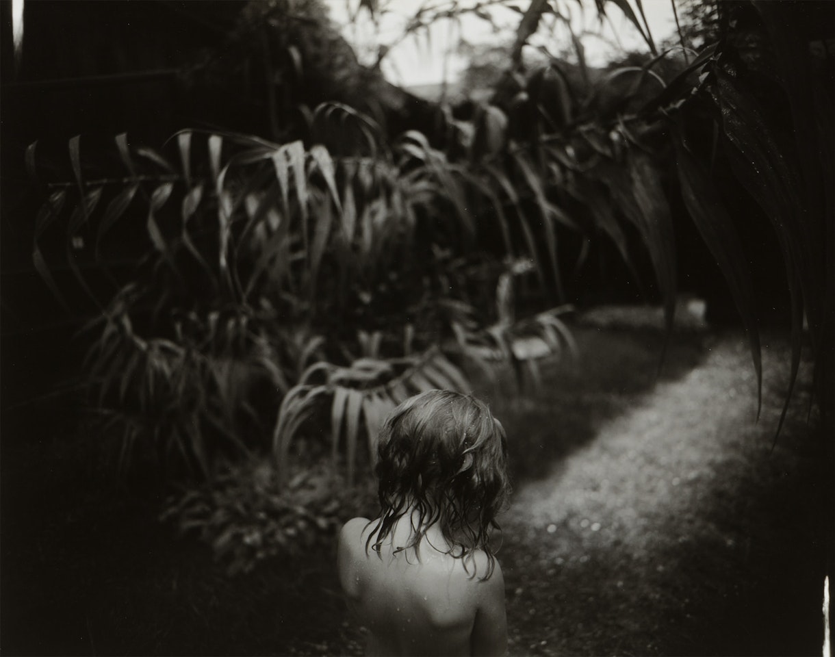 Arundo Dorax by Sally Mann