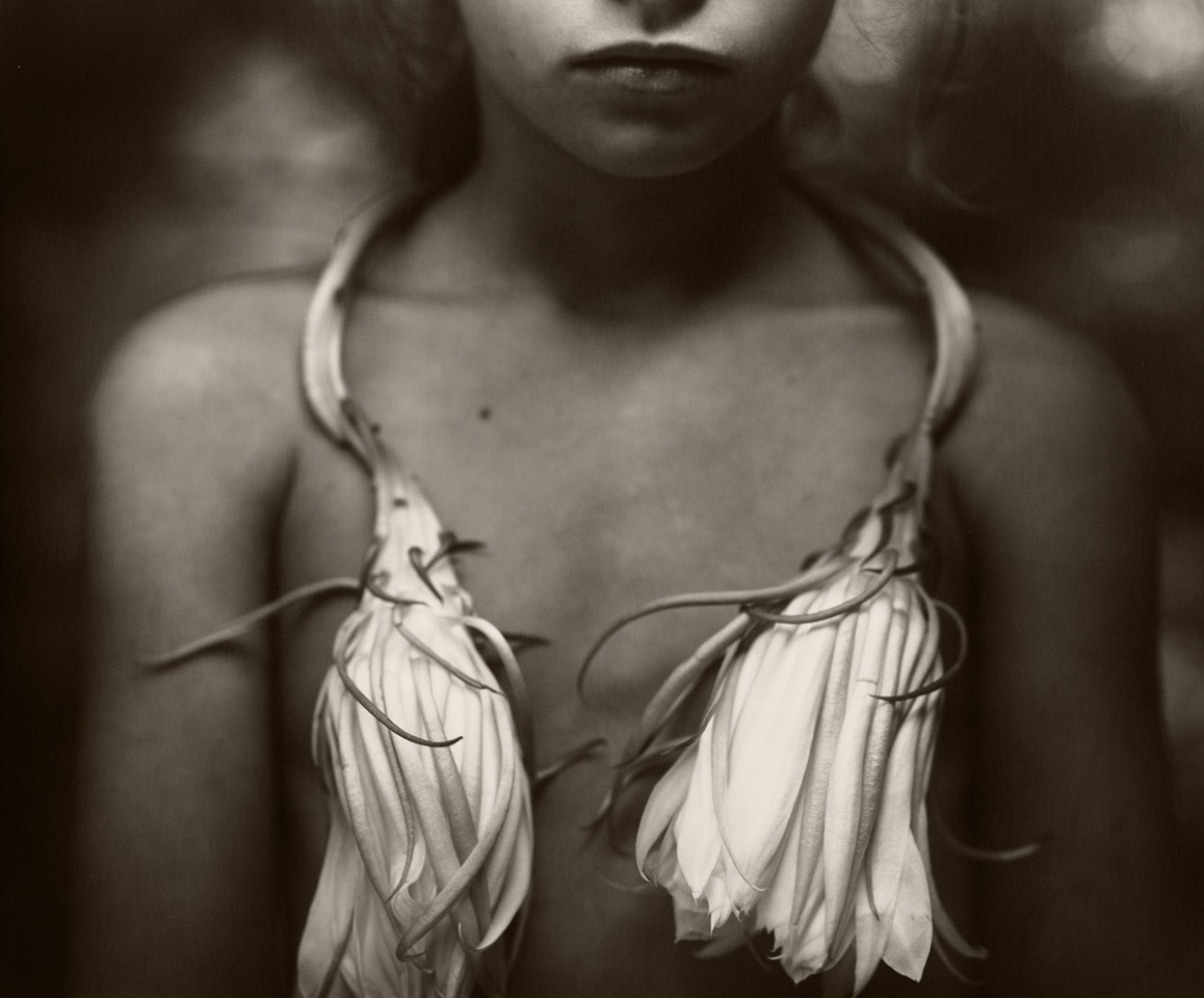 Night Blooming Cereus by Sally Mann