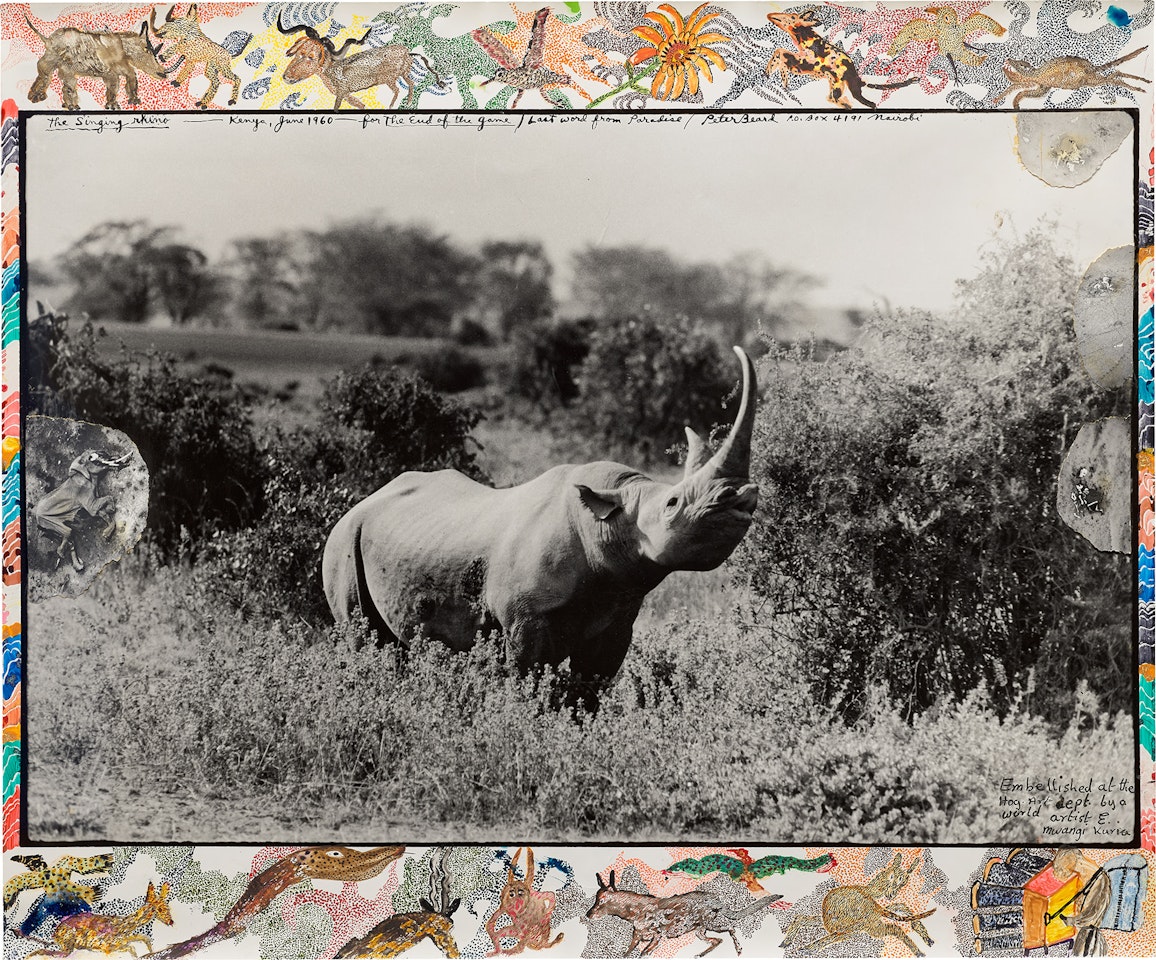 The Singing Rhino - Kenya, June by Peter Beard