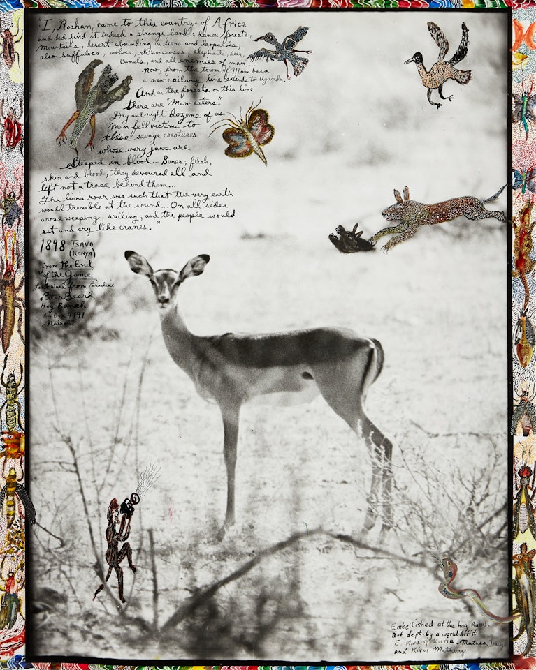Impala by Peter Beard
