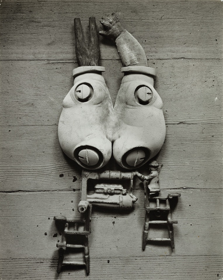 Giant by Frederick Sommer