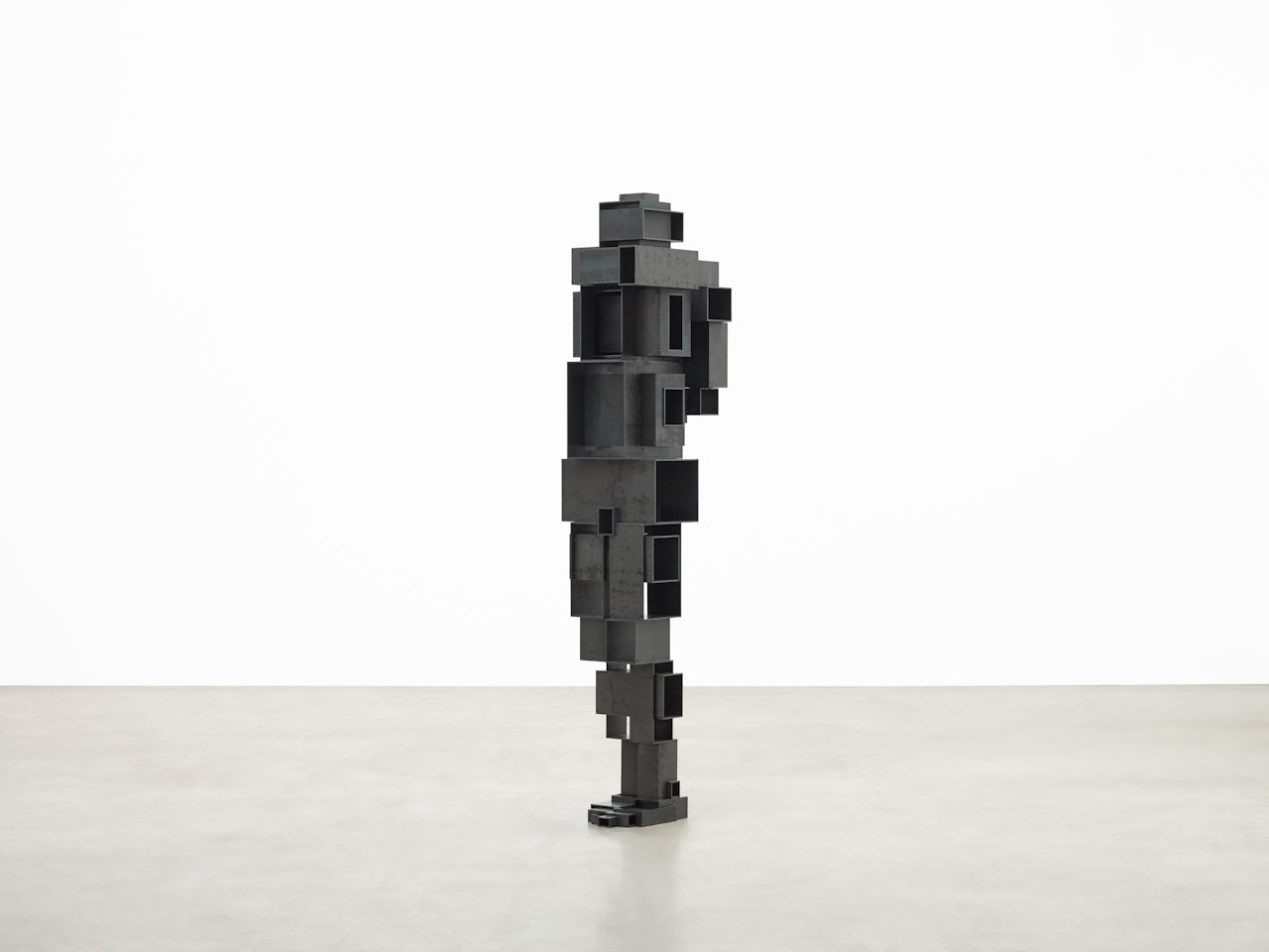 Open Hide by Antony Gormley