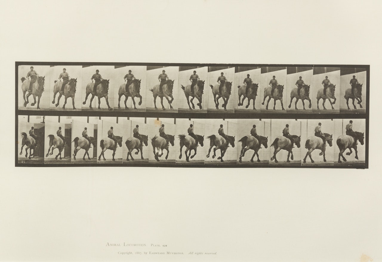 Animal Locomotion Plate 573, Animal Locomotion Plate 629 and Animal Locomotion Plate 759 by Eadweard Muybridge