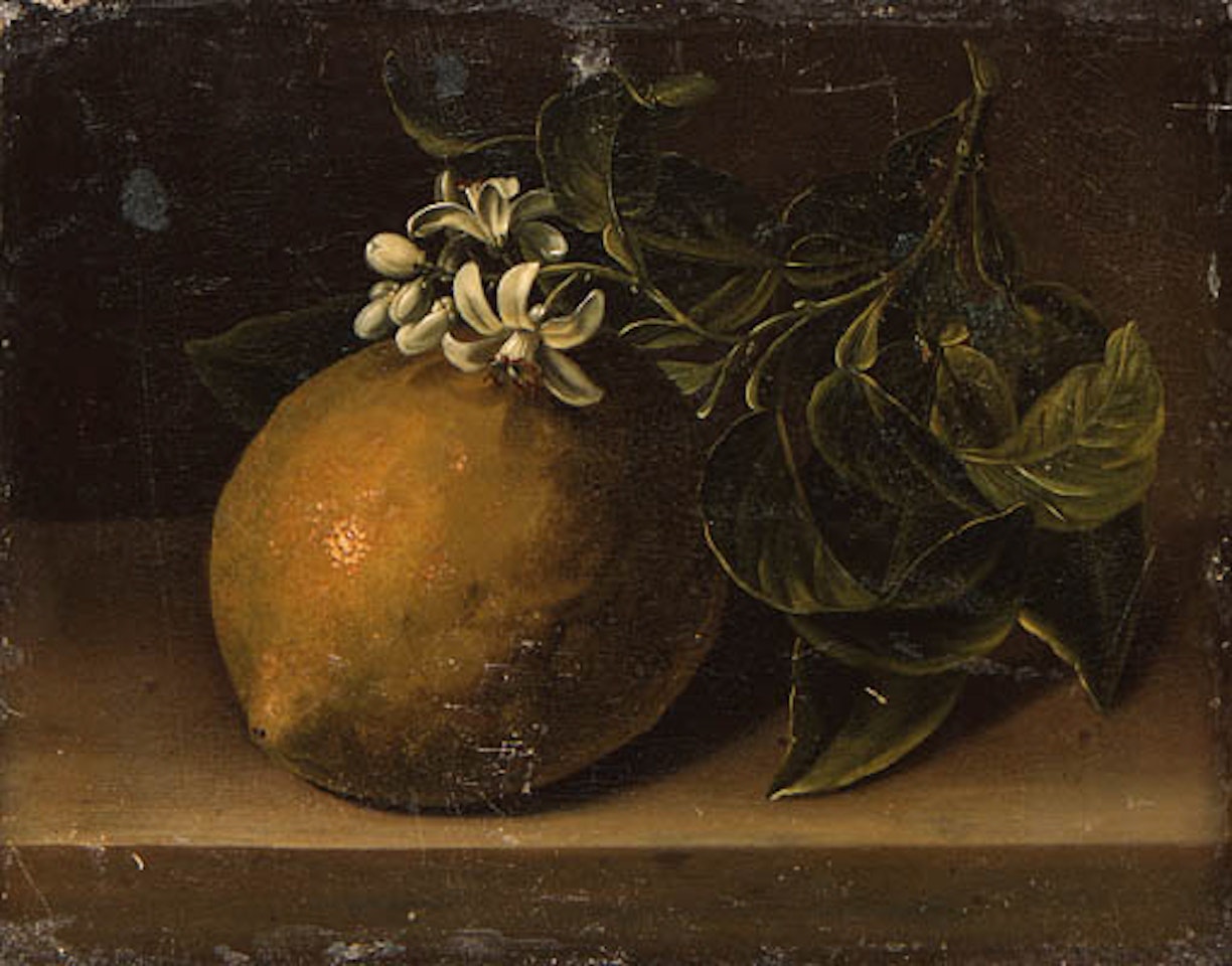 Orange on ledge. Lemon on ledge by German School