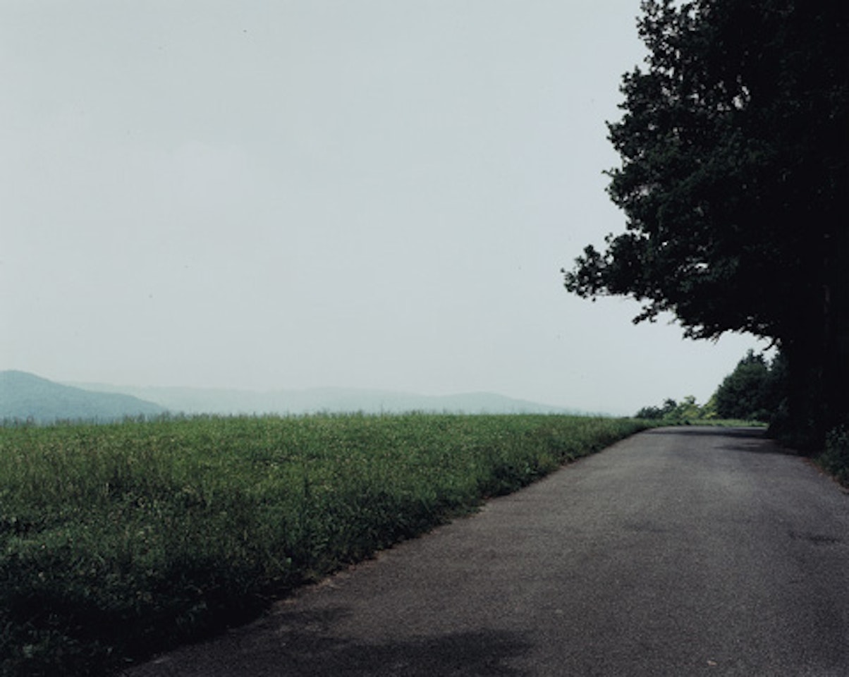 Waldstrasse auf dem Lindberg landscape No. 3 by Thomas Struth