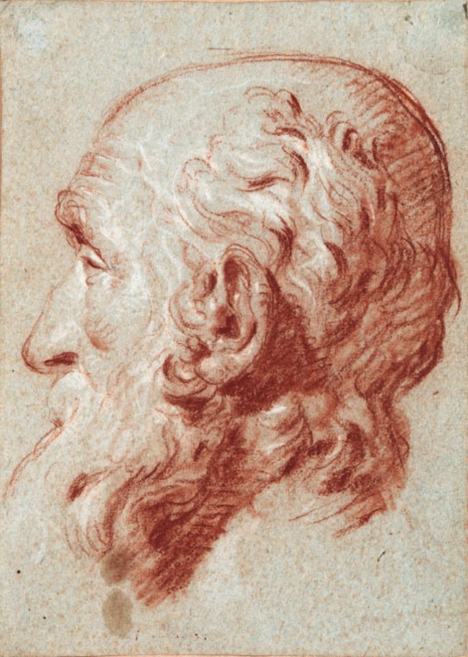 Head of Giulio Contarini by Giovanni Battista Tiepolo