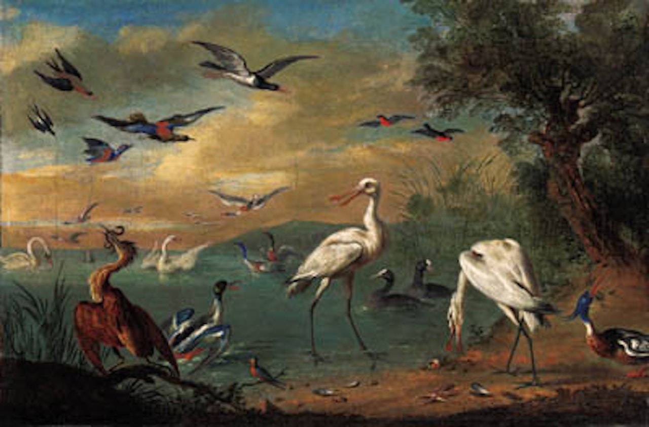 Spoonbills, heron, parrots and other birds in landscape by Jan Van Kessel The Elder