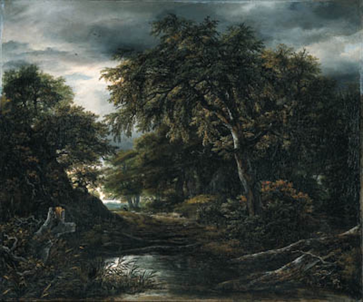 Wooded landscape in stormy weather with pool, peasant and dog by Jacob Salomonsz. van Ruysdael
