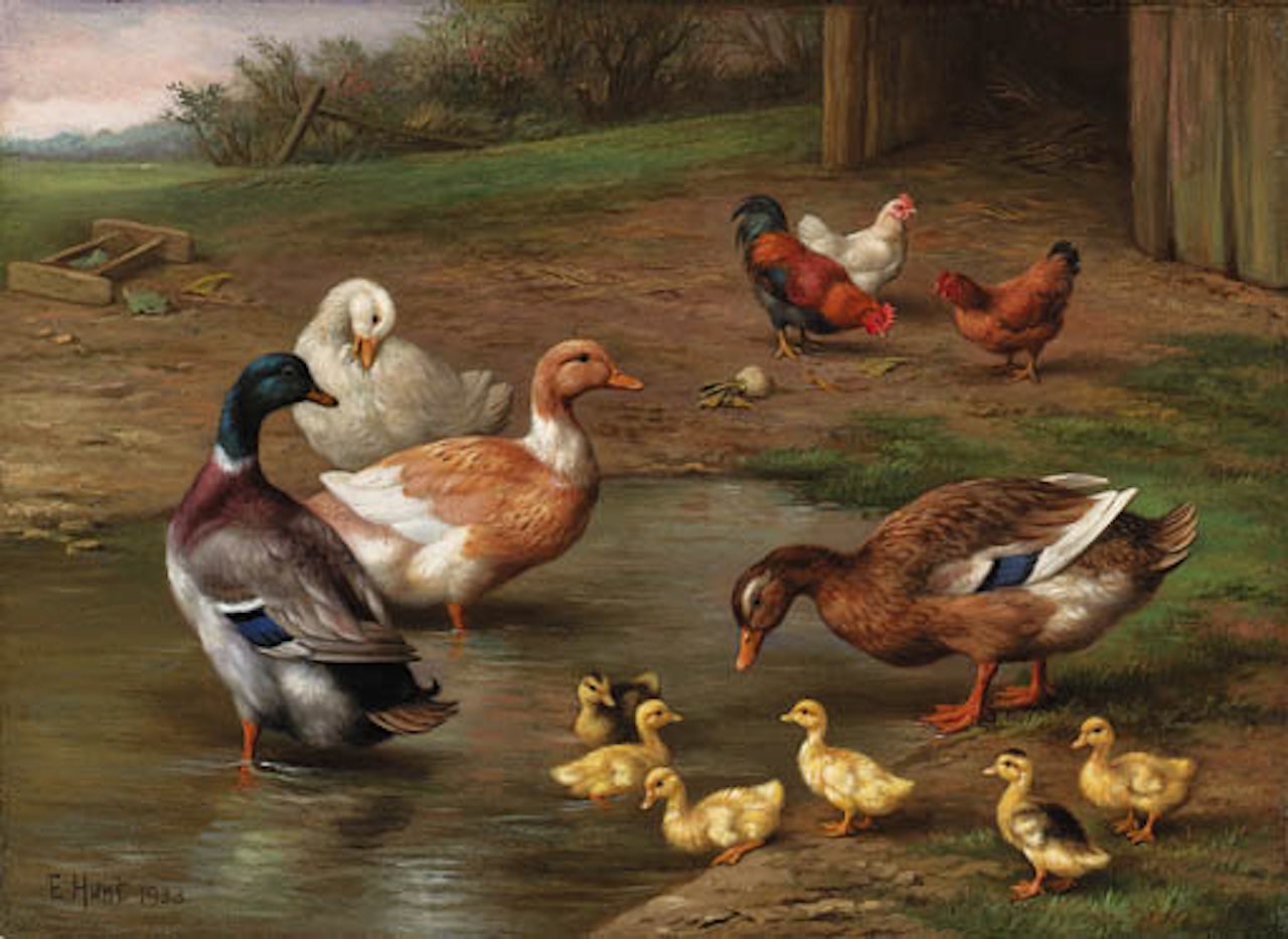Chickens, ducks and ducklings paddling. Puppies and pigeons by kennel by Edgar Hunt
