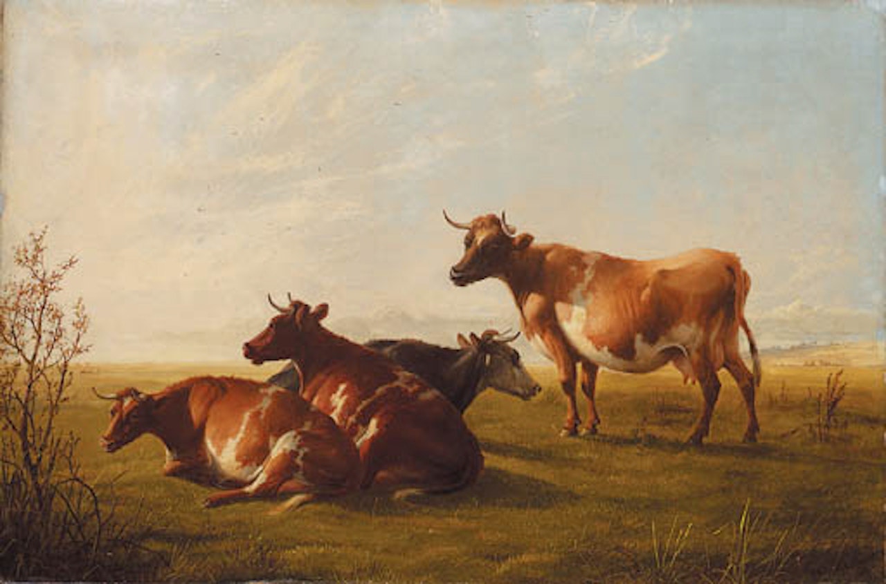 Cows in meadow by Thomas Sidney Cooper