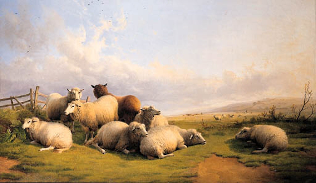 Sheep in extensive landscape by Thomas Sidney Cooper