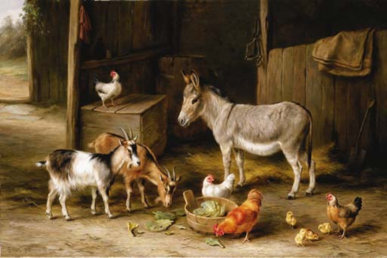 Donkey, two goats, chickens and chicks by Edgar Hunt