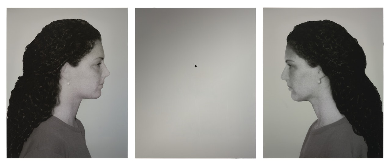 Gemelle (Mirror triptych) by Michelangelo Pistoletto