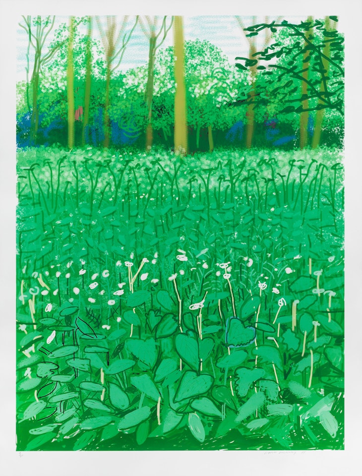 The Arrival of Spring in Woldgate, East Yorkshire in  (twenty eleven) - 6 May by David Hockney