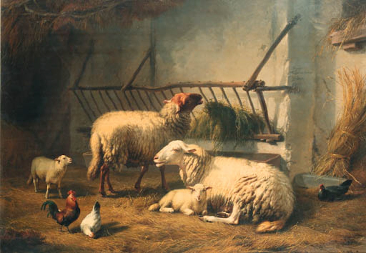 Sheep in stable by Eugène Joseph Verboeckhoven