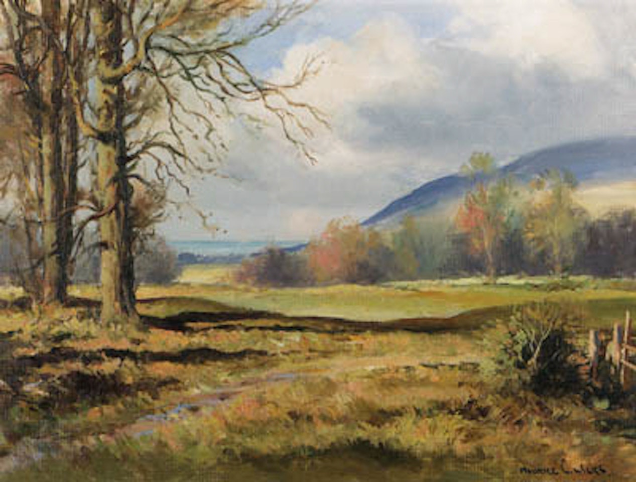 In Tollymore Park, Newcastle, Co Down by Maurice Canning Wilks