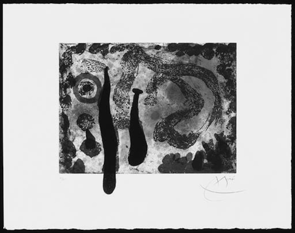 La jardin de mousse by Joan Miró